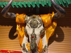 -吉祥圣雪藏餐