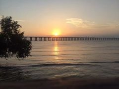 -宝安西湾红树林湿地公园