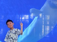 -泉城欧乐堡海洋极地世界