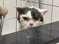 -拜鲁耶动物诊疗中心·宠家动物医院