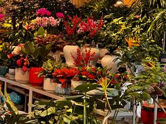 -双季花艺园艺市场(浦东店)