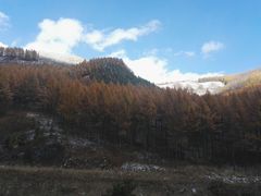 -塞罕坝国家级自然保护区