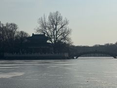 -二一九公园