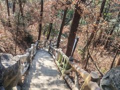 -长沙黑麋峰国家森林公园