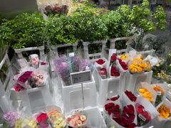 -盒马X会员店(王府井奥莱UP TOWN店)
