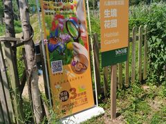 -前小桔亲子创意农场·草莓采摘·露营烧烤