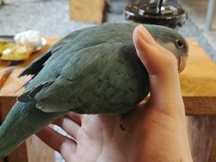 -吾叁·吉趣鸟咖(万科店)
