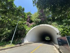 -福建鲤鱼洲酒店