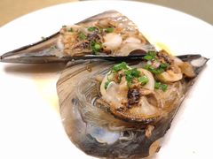 -绿岛国际酒店·海鲜酒楼(八七路店)