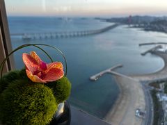 -大连君悦酒店·星海湾壹号Dalian·Dalian(星海广场店)