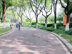 -昆山城市生态森林公园