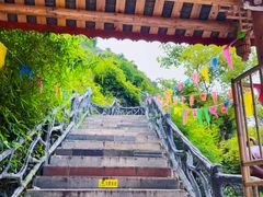 -会仙湿地