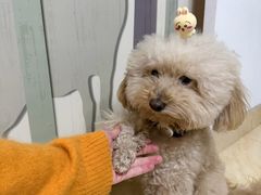-听TA说宠咖·宠物生活馆(天韵水岸店)