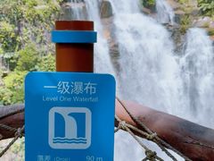 -海南热带雨林国家公园吊罗山景区