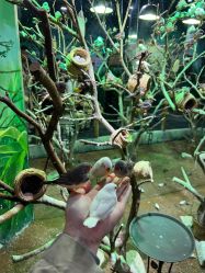 -Zoolung Zoolung动物主题公园(海信广场店)