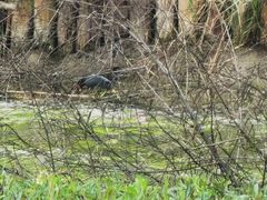 -春花秋色城市公园