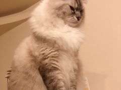 -爱侣宠医·鹦鹉专科·小型哺乳类·异宠专科(灵石路店)