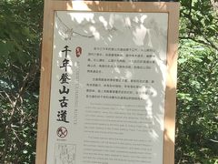 -北京鹫峰国家森林公园