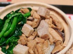 -华记煲仔华·煲仔饭(人和店)