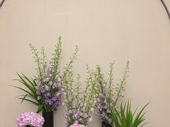 -北京王府井天伦王朝酒店