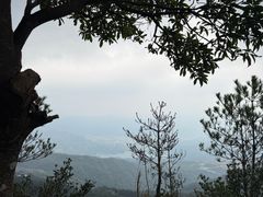 -玉苍山国家森林公园