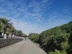 -深圳湾公园(南山区)