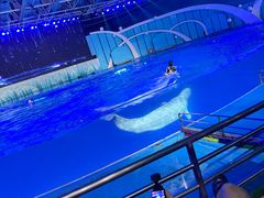 -海合安青岛极地海洋公园