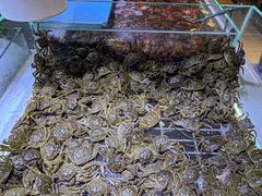 -聚盛源蒸汽海鲜火锅烤肉自助(巨川金海岸购物广场店)