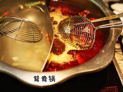火锅-潮发潮汕牛肉店(芳村店)