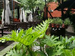 -Local泰莲庭(虹鳟鱼店)