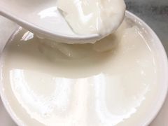 -澳洲牛奶公司(佐敦店)