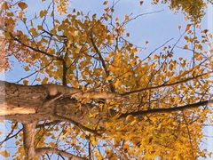 -渭河城市绿地运动公园