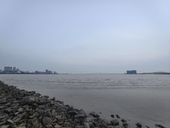 -观澳平台