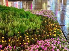 -沙洲路步行街(长安南路店)