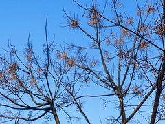 -旅马餐厅(茅家埠店)