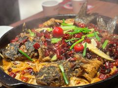 -老板恋上鱼(恒隆广场店)