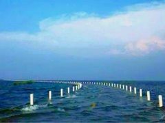 -鄱阳湖国家湿地公园
