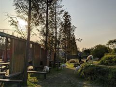 -前小桔亲子创意农场·草莓采摘·露营烧烤