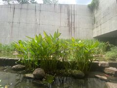 -中国湿地博物馆