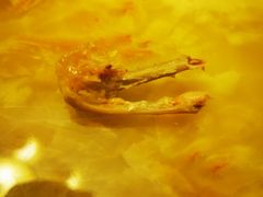 -清真·王家桶子鸡