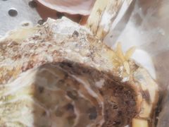 -永红源·啤酒烧烤海鲜大排档(台柳路店)