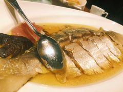 陈年花雕蒸鲥鱼-福1088