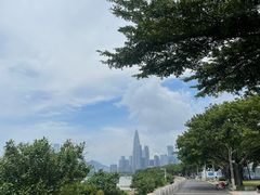 -深圳湾公园(南山区)