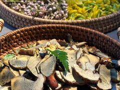 -蘑界·野生菌火锅(深业上城店)