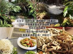 -西双版纳原始森林公园