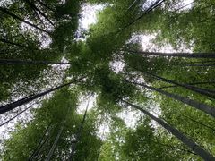 -鸡枕山