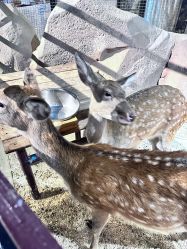 -酷嗒动物文化乐园(cutezoo西溪乐天城店)