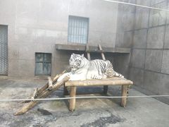 -西安秦岭野生动物园