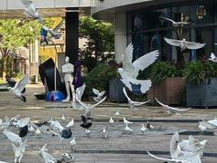 -中粮·祥云小镇