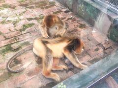 -西安秦岭野生动物园